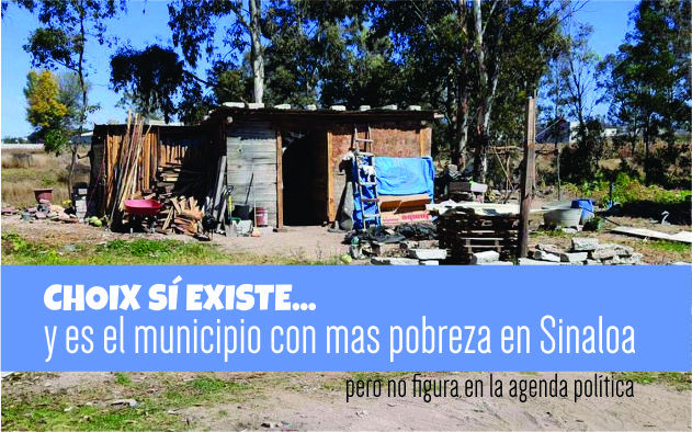 DISTRIBUCIÓN DEL INGRESO EN LA POBLACIÓN TRABAJADORA