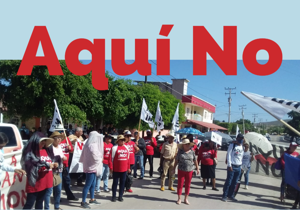 La 4T se desliza como una ardilla