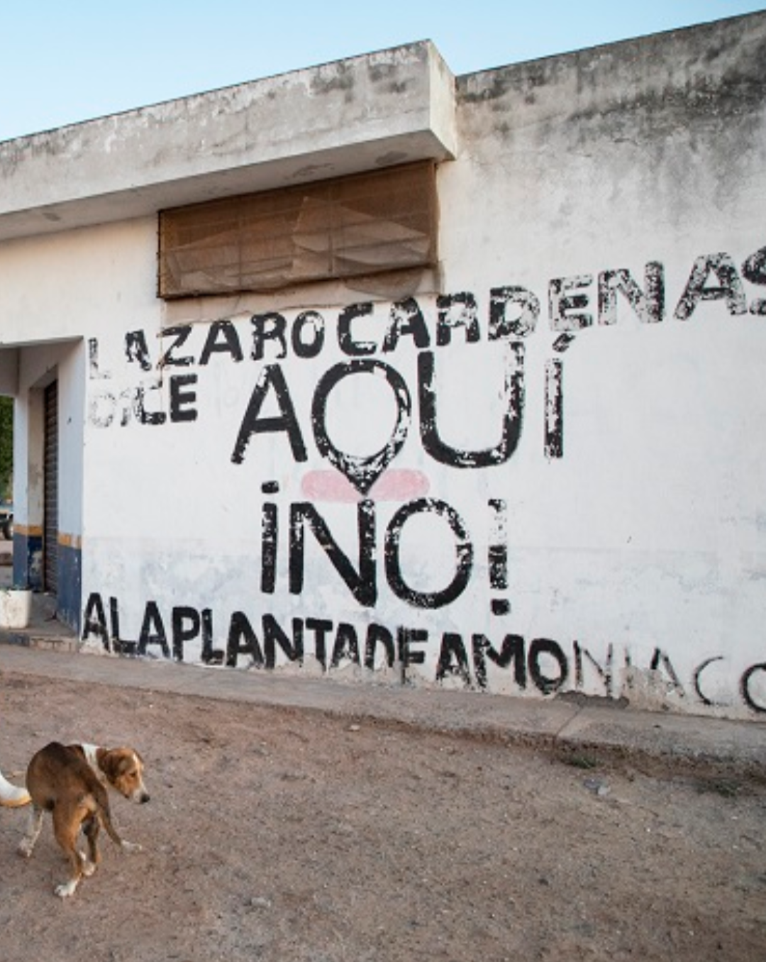 EL AMONIACO NO ES TODO. No en la agricultura.